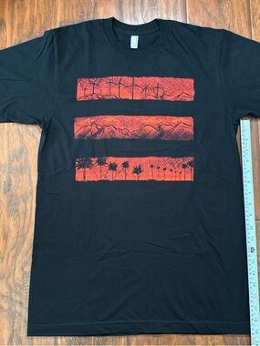 Jay Z Coachella special edition T Shirt . From Coachella 2010 - size M